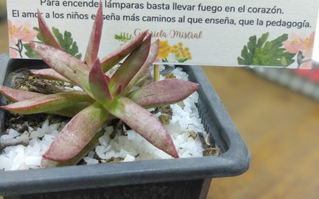 Conmemoración del día del profesor en la sección prebásica