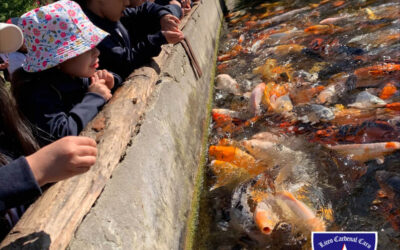 Salida pedagógica del Kínder B a la Granja Educativa de Lonquén